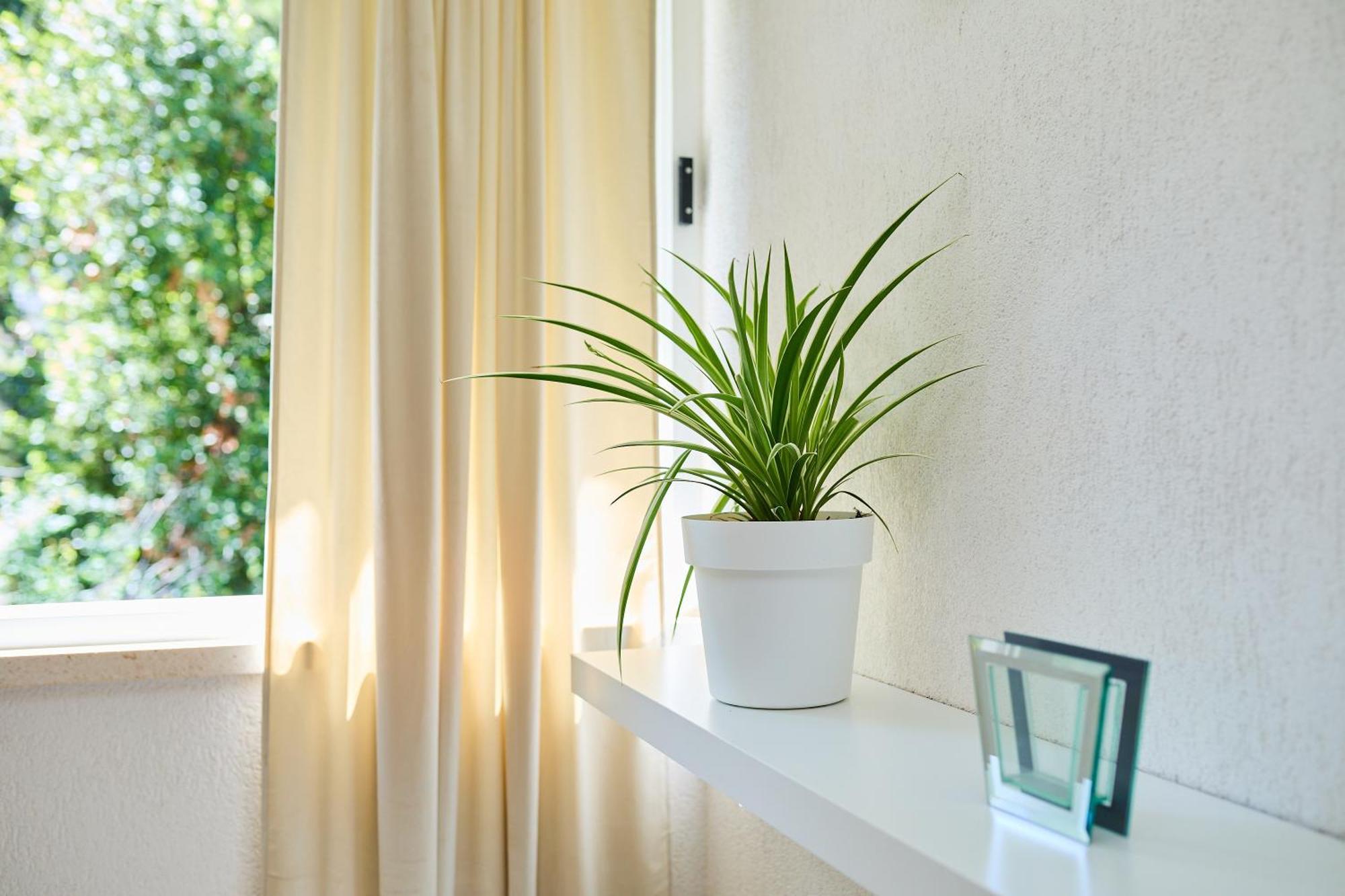 Apartment Promenada- 4Pax With Parking دوبروفينك المظهر الخارجي الصورة